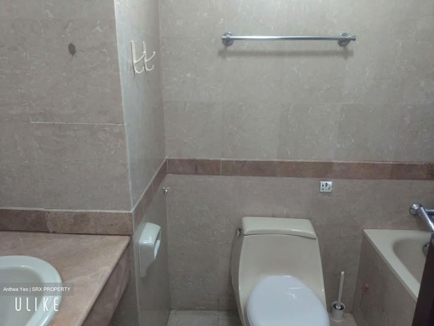 Tanglin Regency (D10), Condominium #602142411
